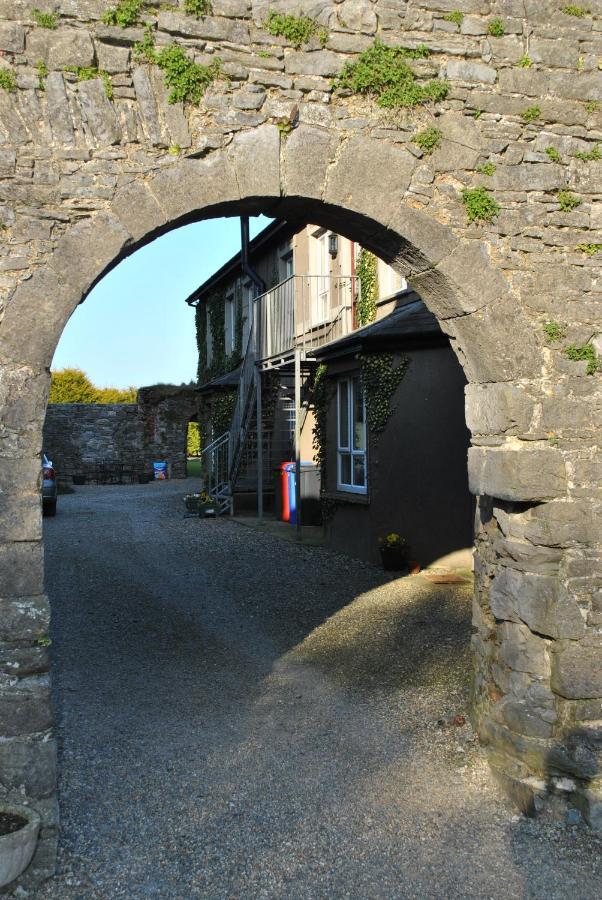 Killiane Castle Country House & Farm Drinagh Esterno foto