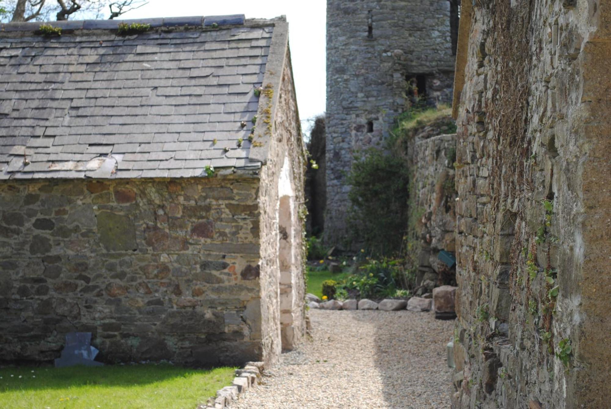 Killiane Castle Country House & Farm Drinagh Esterno foto
