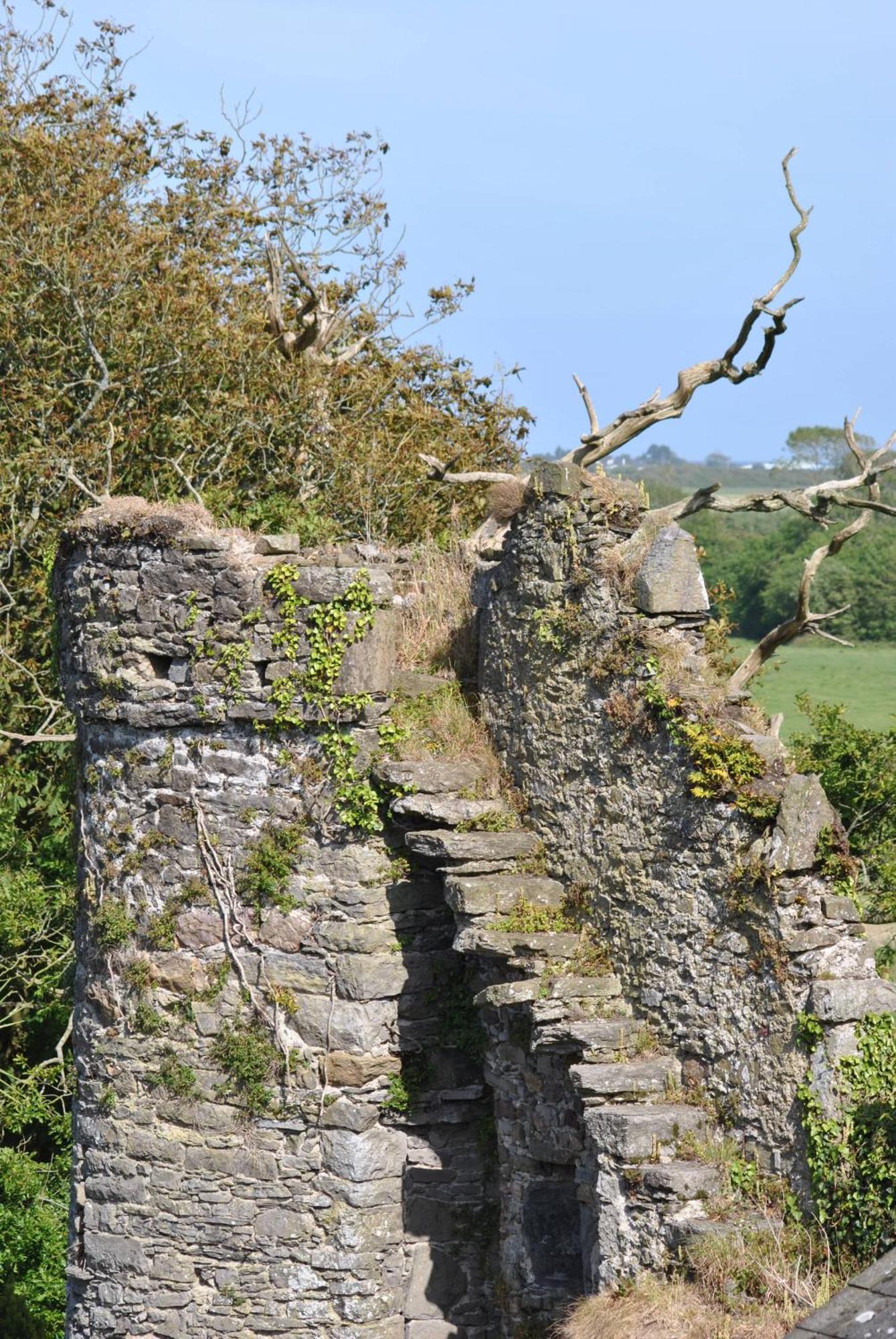 Killiane Castle Country House & Farm Drinagh Esterno foto
