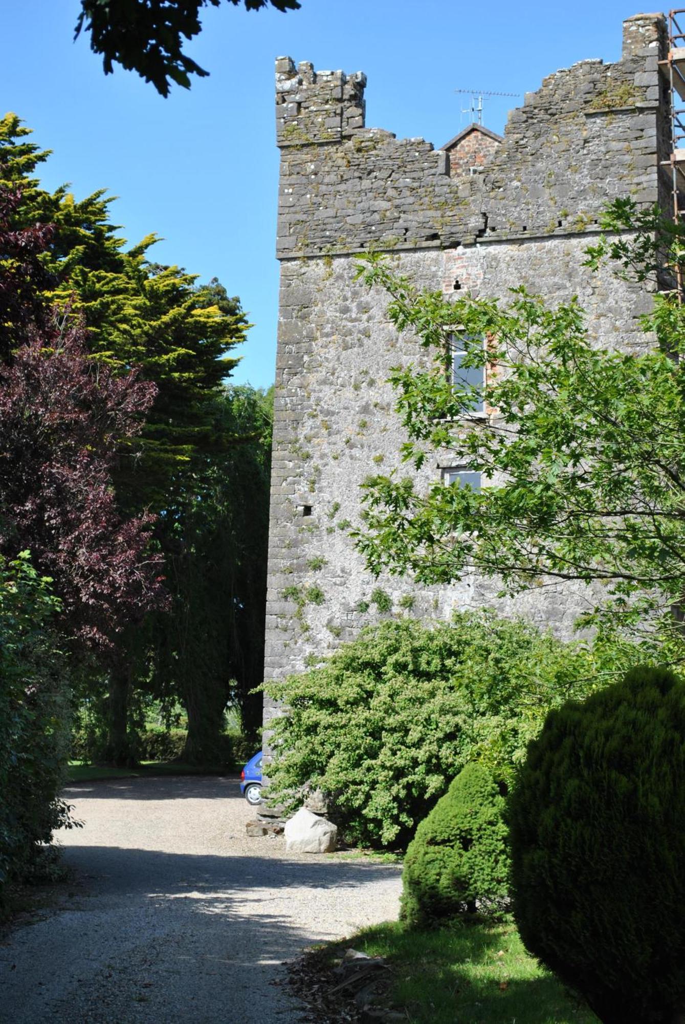 Killiane Castle Country House & Farm Drinagh Esterno foto