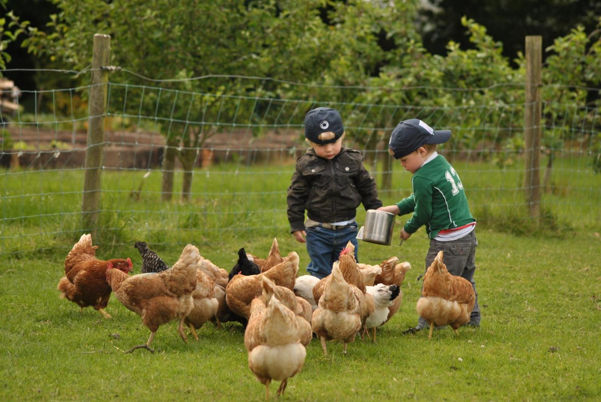 Killiane Castle Country House & Farm Drinagh Esterno foto
