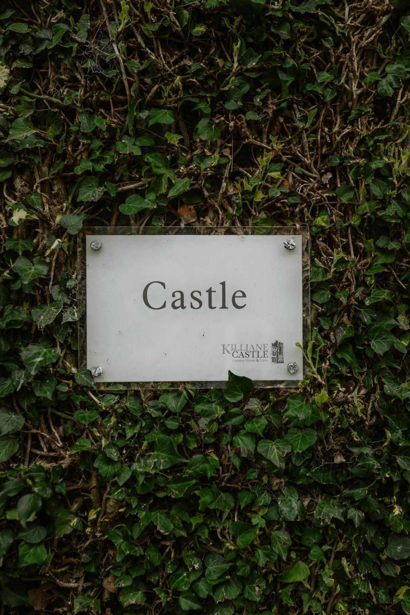 Killiane Castle Country House & Farm Drinagh Esterno foto