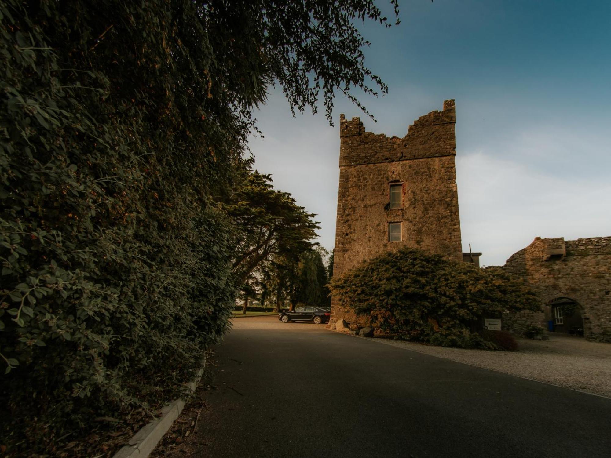 Killiane Castle Country House & Farm Drinagh Esterno foto