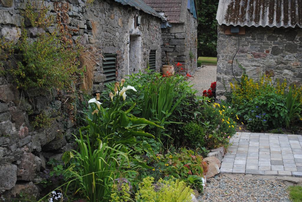 Killiane Castle Country House & Farm Drinagh Esterno foto