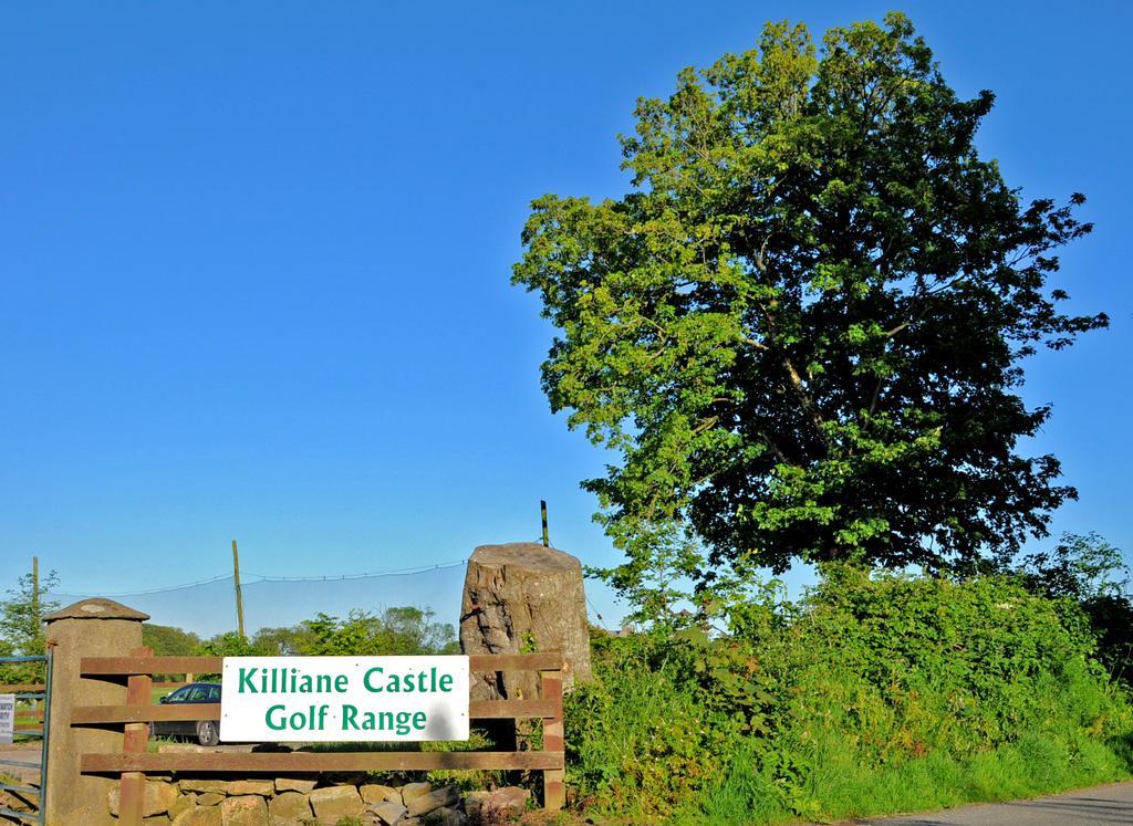 Killiane Castle Country House & Farm Hotel Drinagh Esterno foto